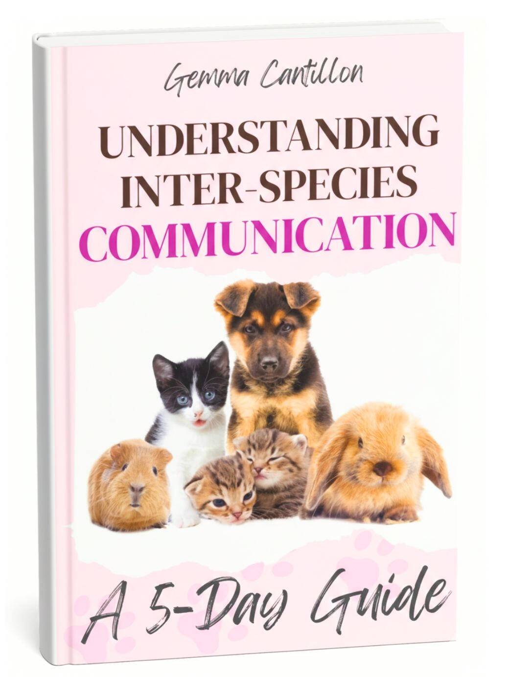 Inter-species Communication by Gemma Cantillon